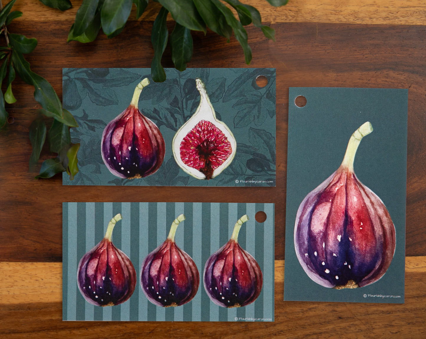 Fig Gift Tags