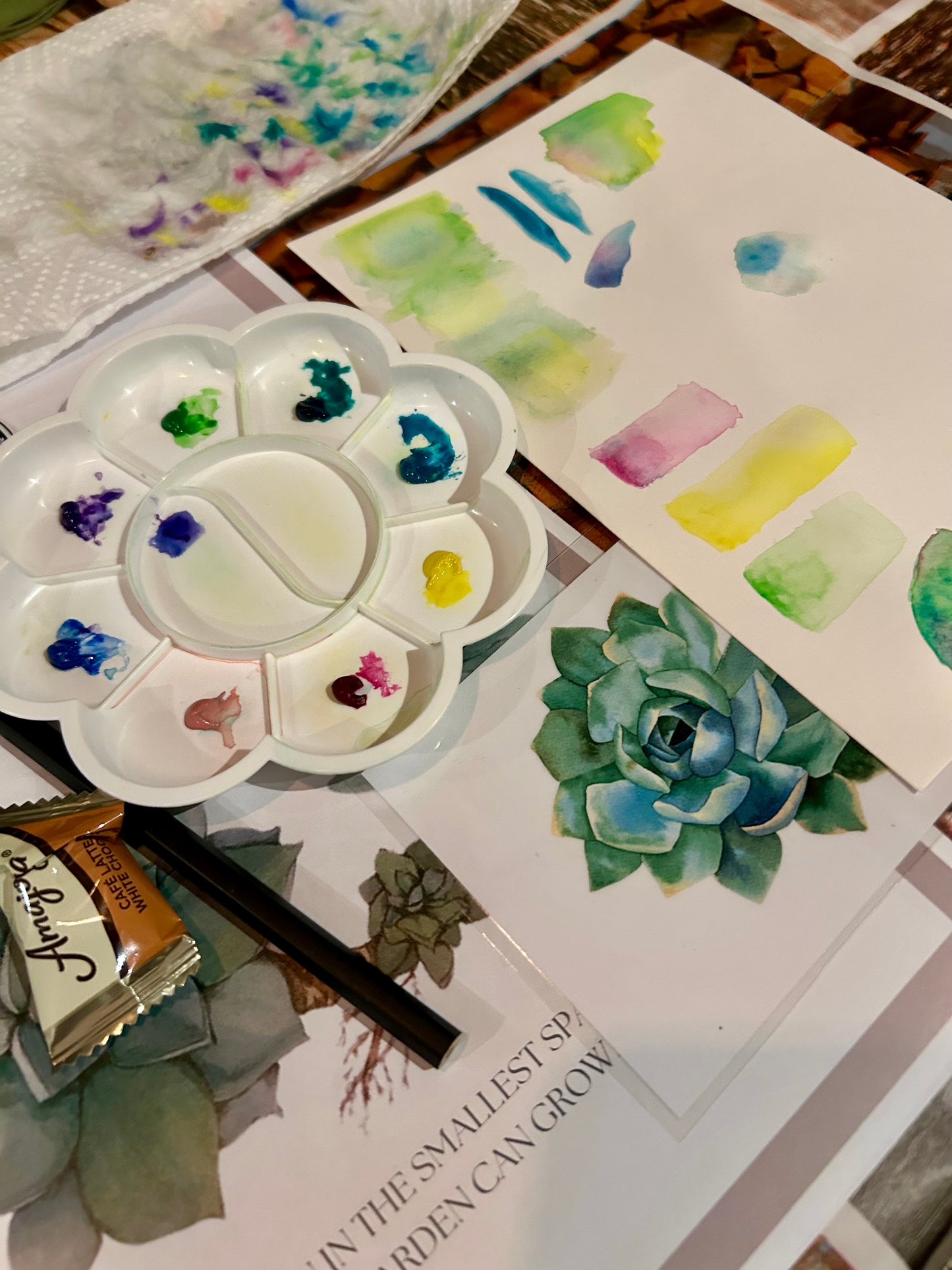 Succulent Rock Rose Watercolour Course - 27th June 2026