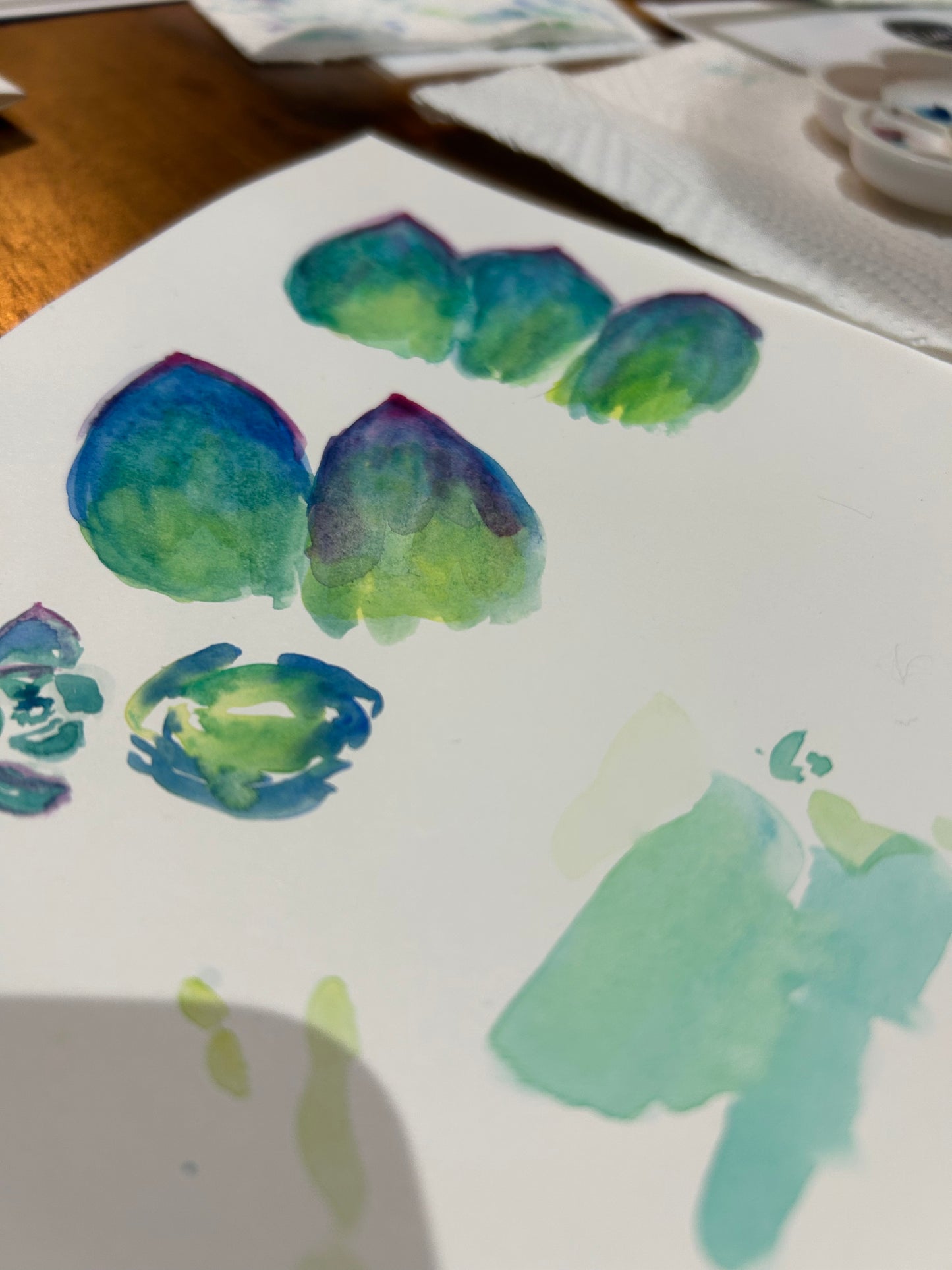Succulent Rock Rose Watercolour Course - 27th June 2026