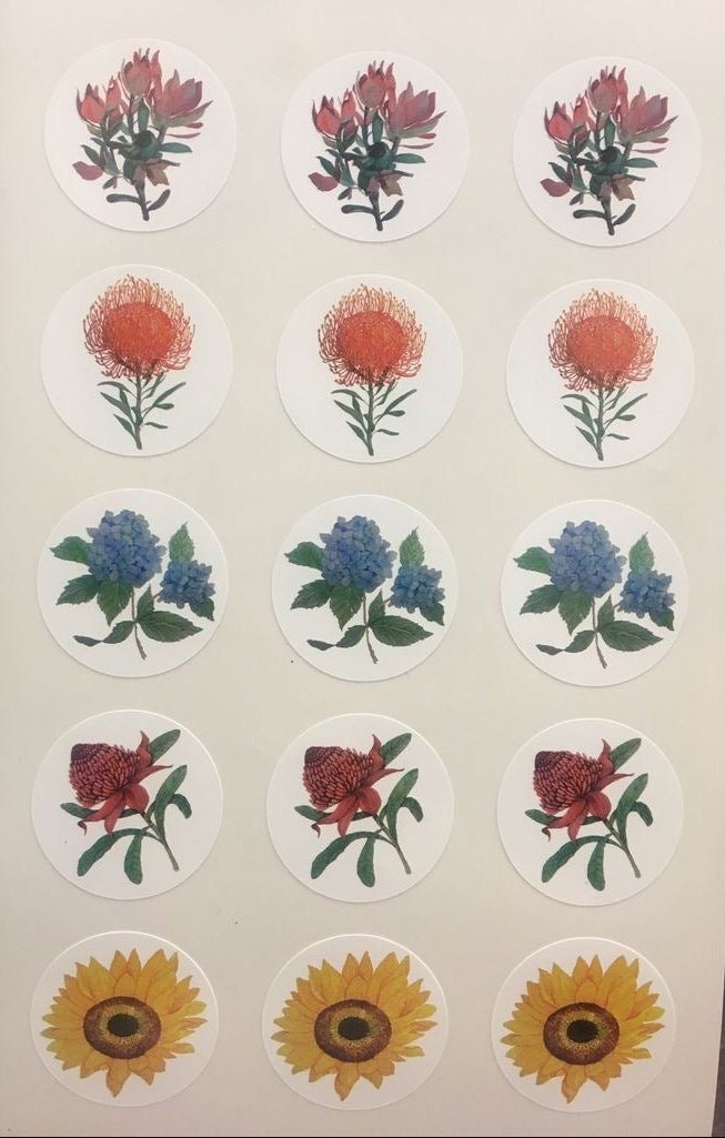 Garden Collection Bundle