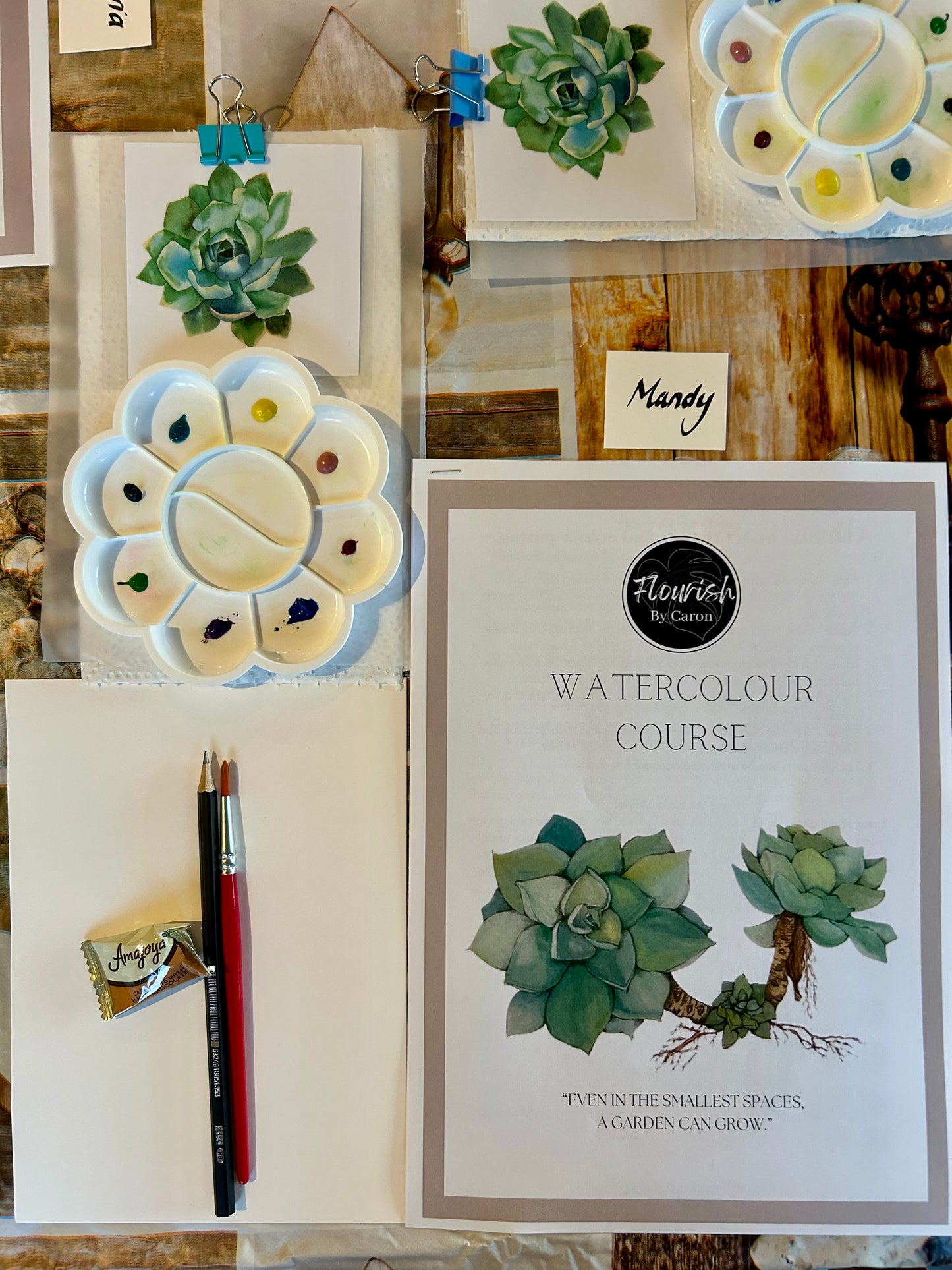 Succulent Rock Rose Watercolour Course - 27th June 2026