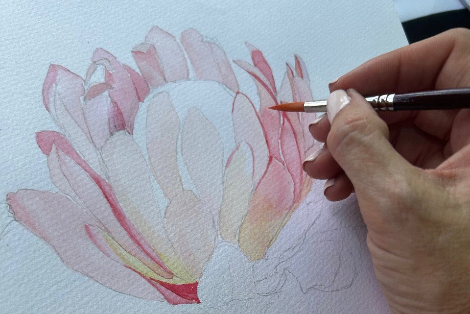 Protea Watercolour Course - 28th June