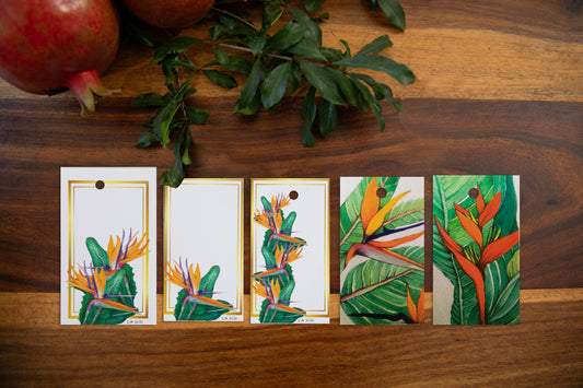 Strelitzia Gift Tags