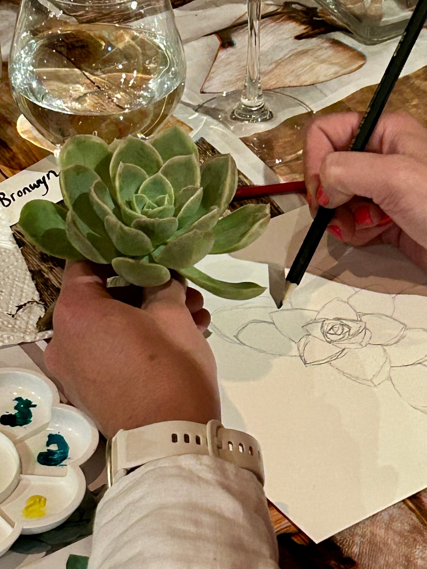 Succulent Rock Rose Watercolour Course - 27th June 2026