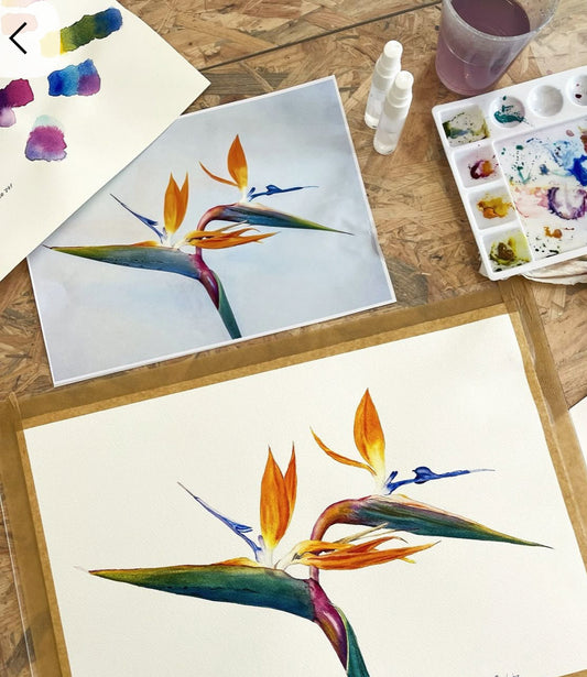 HERITAGE DAY Strelitzia Watercolour Course - 24TH SEPTEMBER 2026