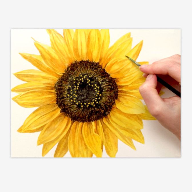 Sunflower Watercolour Course - 28th April 2026