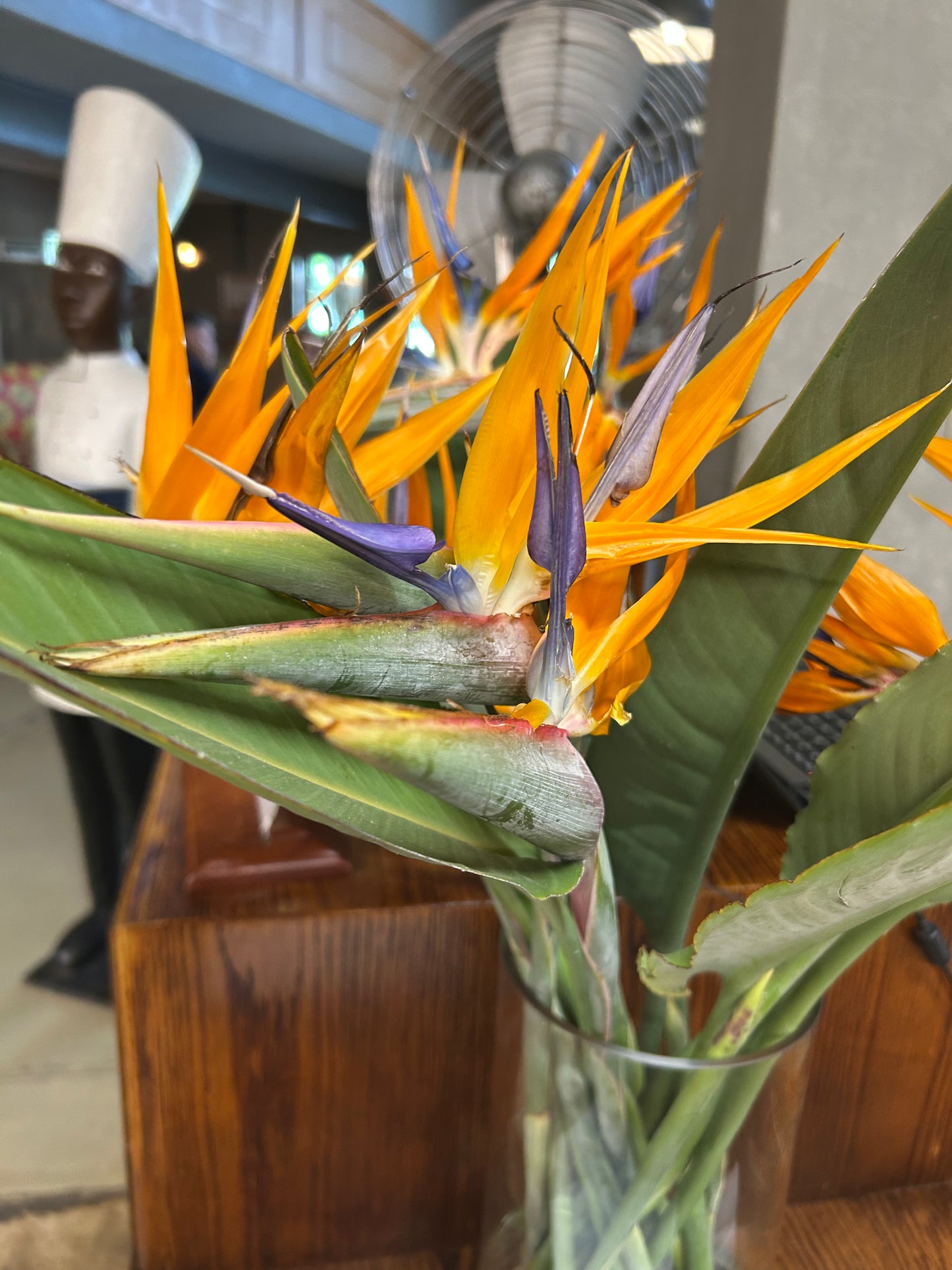 Strelitzia Watercolour Course - 25th October