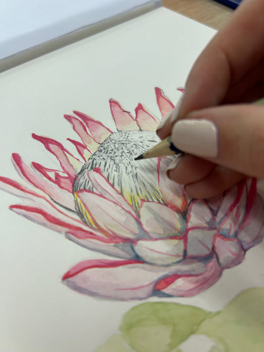 Protea Watercolour Course - 10th February 2026, Silver Birch Restaurant