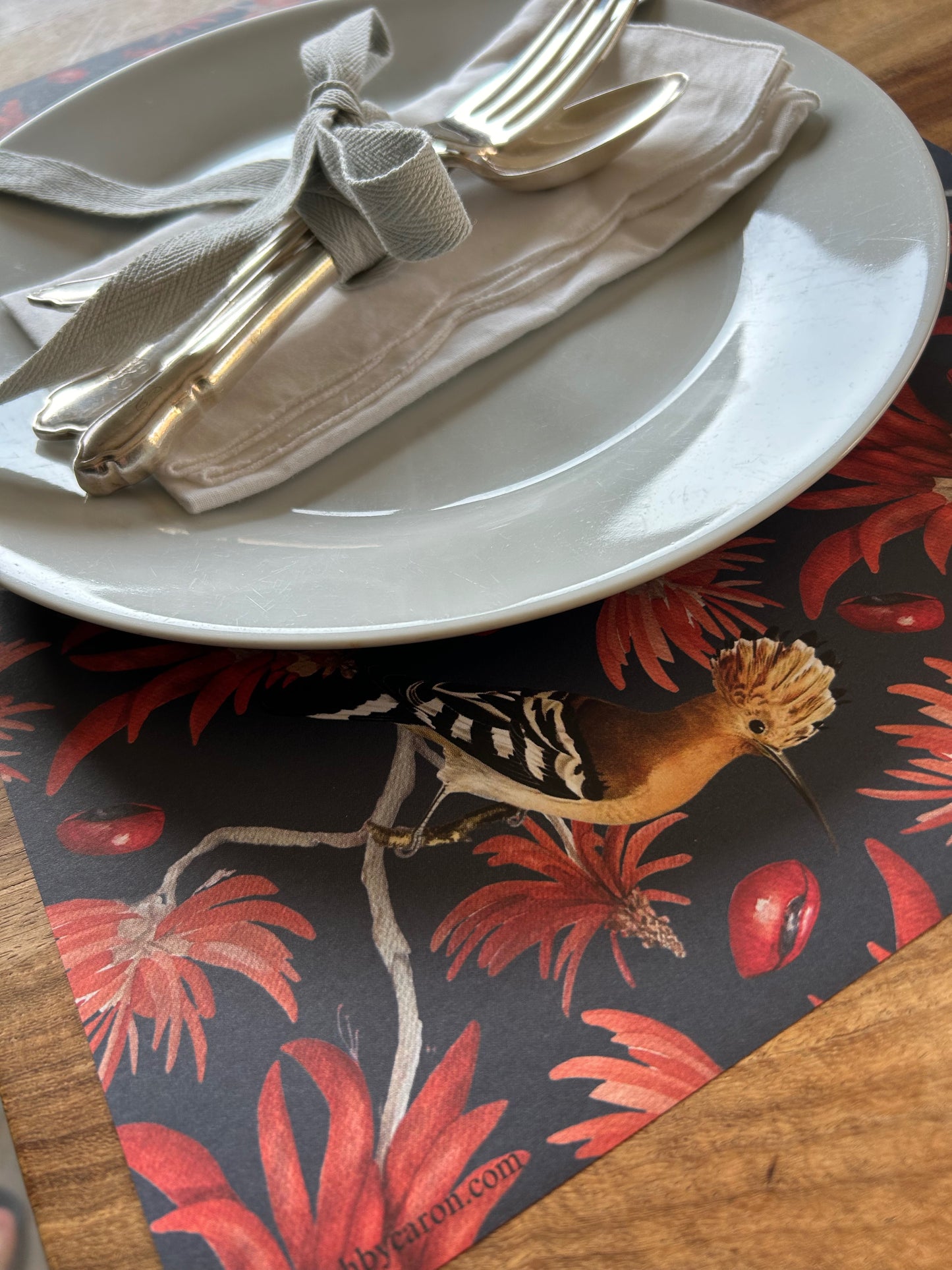 Origins Collection Placemats