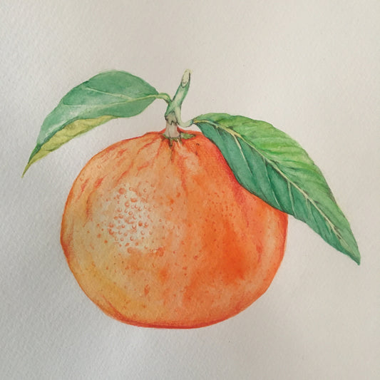 Citrus & Sunshine Watercolour Course - 28TH NOVEMBER  2026